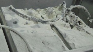 鈺鑫電氣提示您如何預(yù)防蓄電池發(fā)生故障？