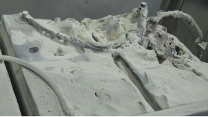 關(guān)于直流屏蓄電池故障信息的處理方法！（上）